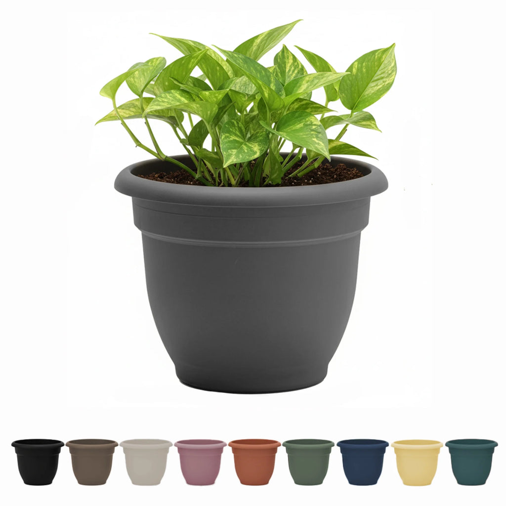 Ariana 16" Self-Watering Plastic Planter - Rolled Rim Indoor/Outdoor Garden Pot, Charcoal