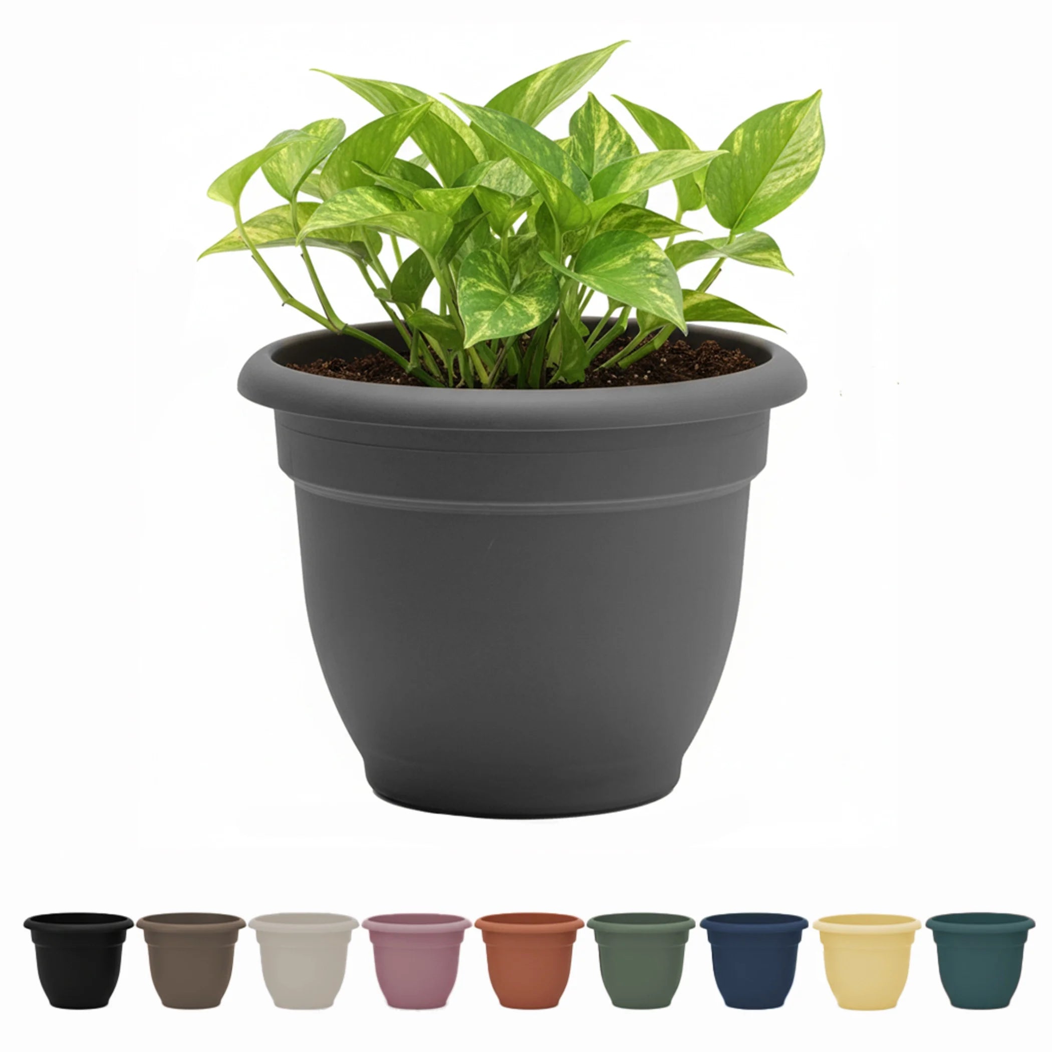 Ariana 16" Self-Watering Plastic Planter - Rolled Rim Indoor/Outdoor Garden Pot, Charcoal