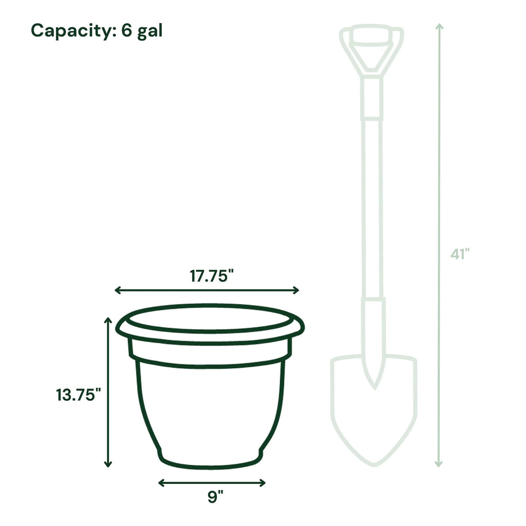 Ariana 16" Self-Watering Plastic Planter - Rolled Rim Indoor/Outdoor Garden Pot, Charcoal